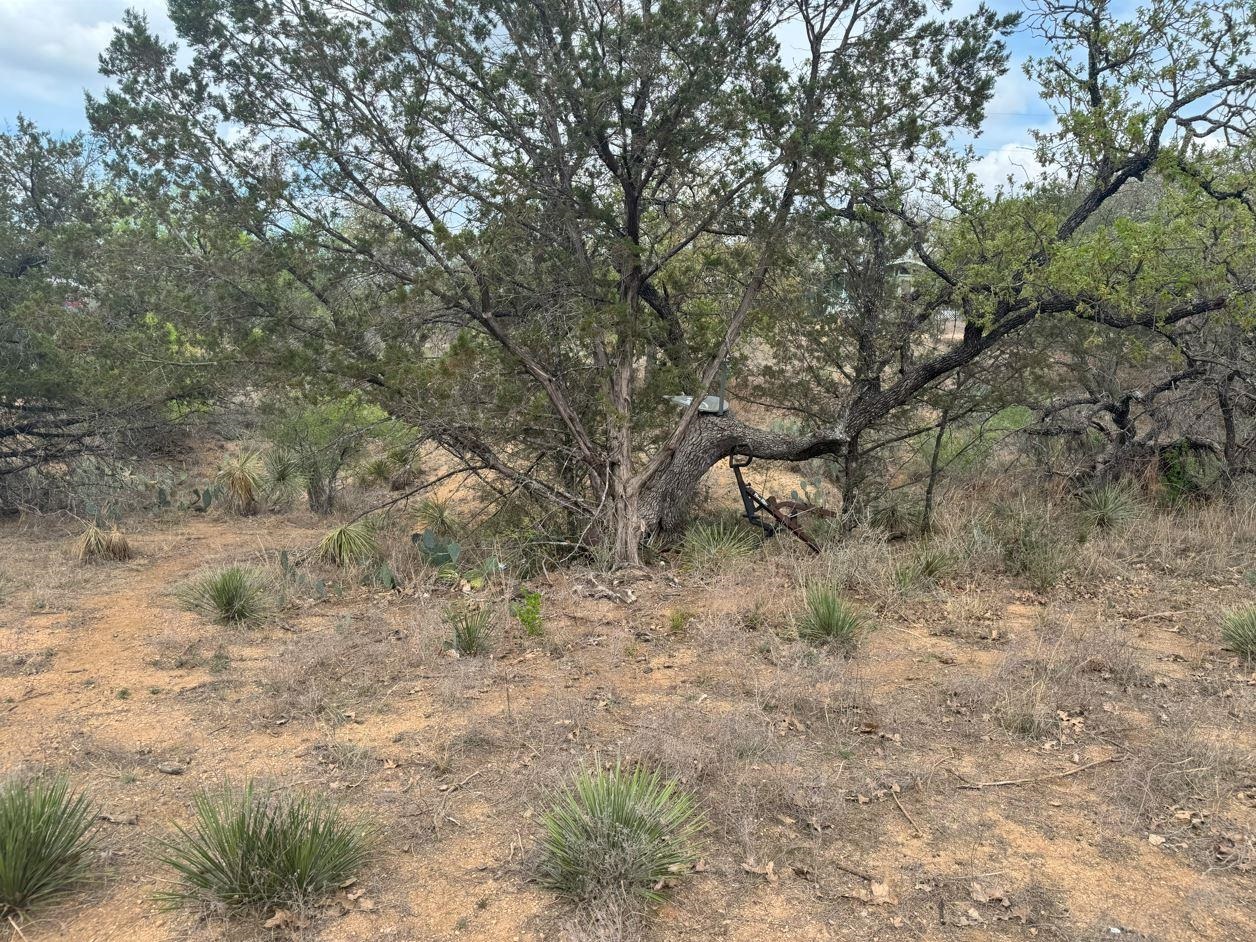 Lot 260 W Briarway Drive Granite Shoals TX 78654
