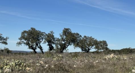 Lot 57 Big Creek Drive Kingsland TX 78639