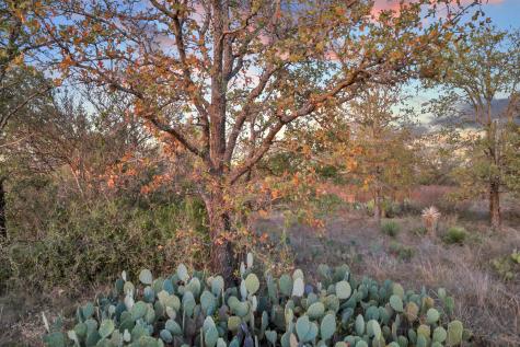 Lt 111 Quail Trail Marble Falls TX 78654