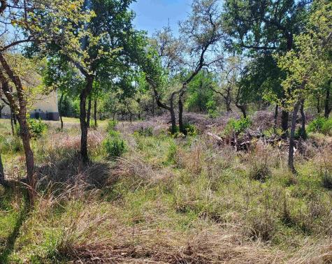 Lot 459-b Oakwood Drive Granite Shoals TX 78654