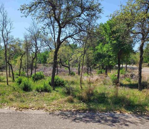 Lot 459-b Oakwood Drive Granite Shoals TX 78654
