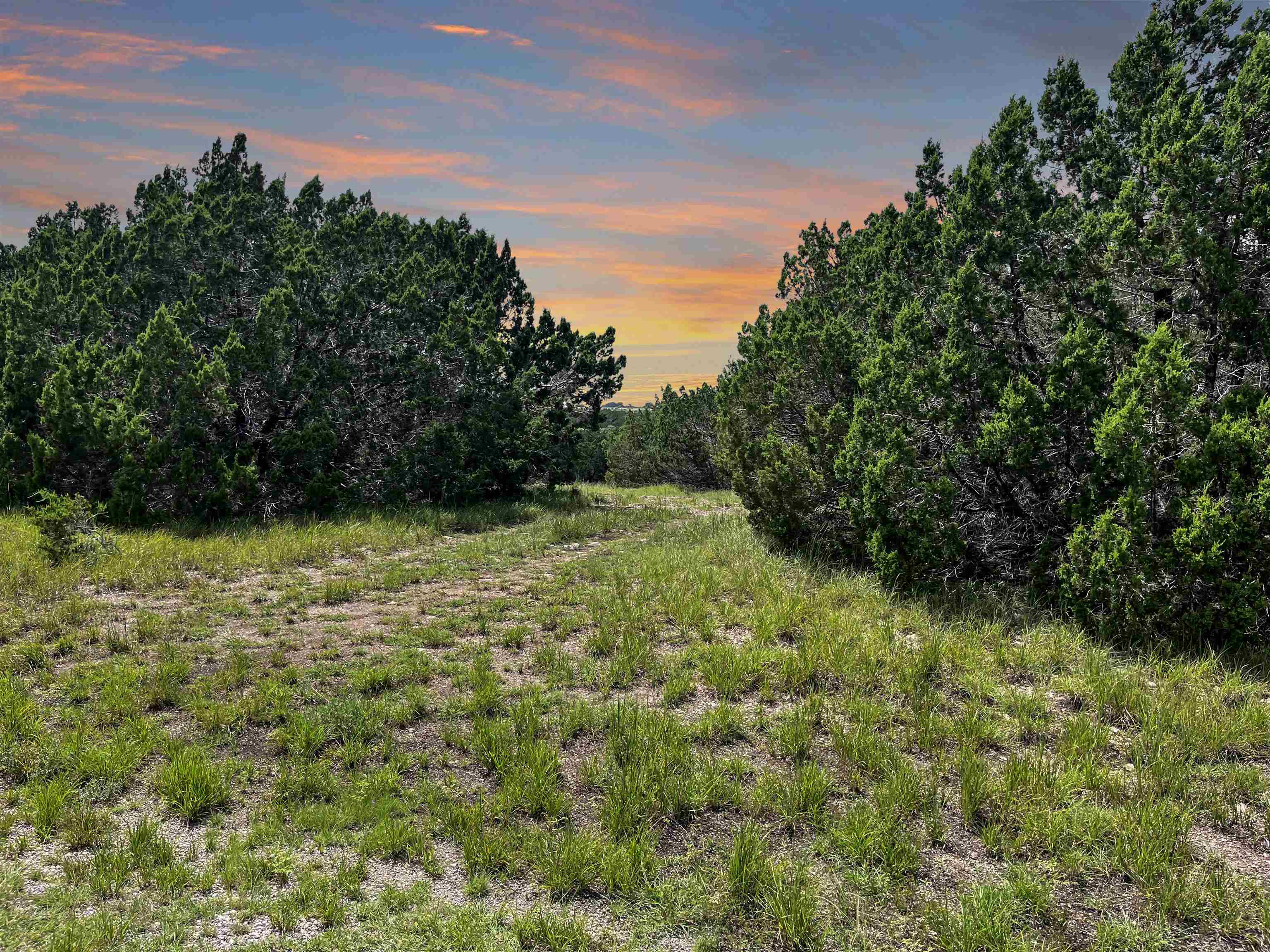 76 Balcones Ridge Way Bertram TX 78605