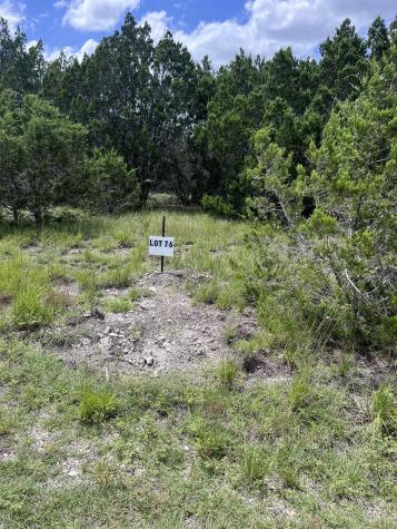 76 Balcones Ridge Way Bertram TX 78605