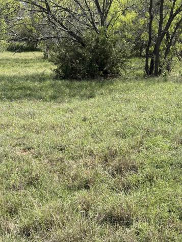 Lot 19142 Cardinal Horseshoe Bay TX 78657