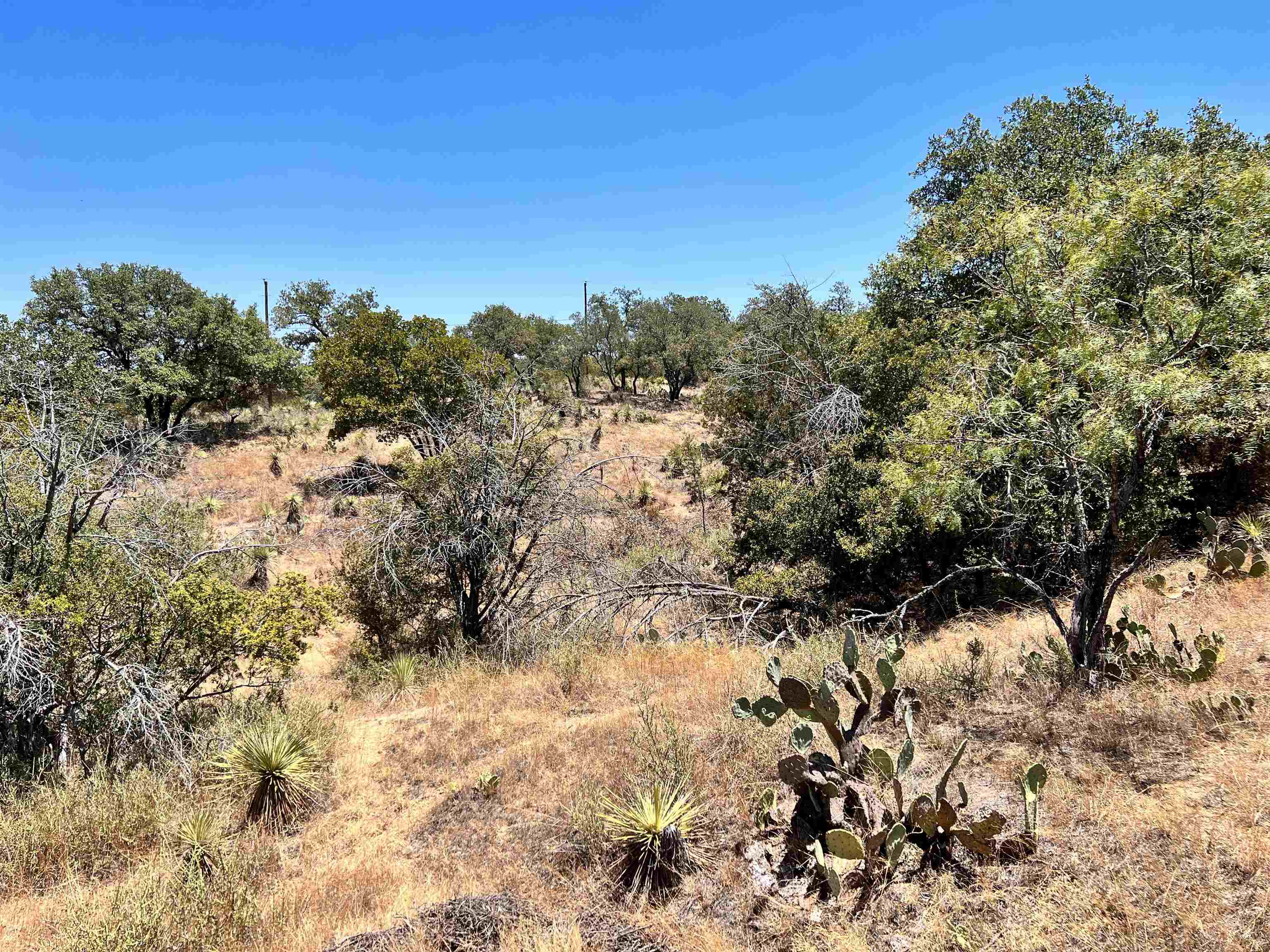 Lots 320-323 Tbd W. Castlebriar Drive Granite Shoals TX 78654