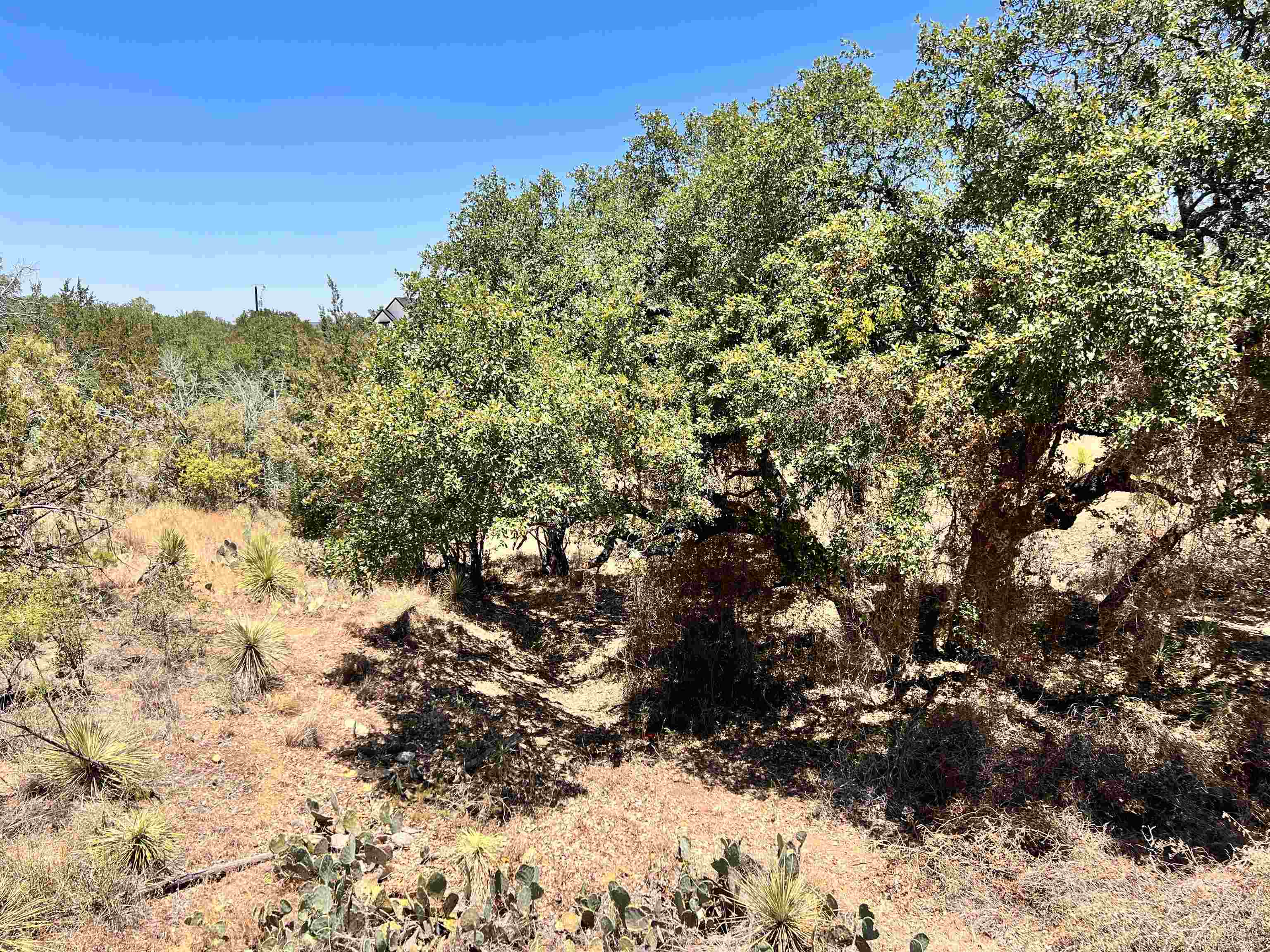 Lots 320-323 Tbd W. Castlebriar Drive Granite Shoals TX 78654