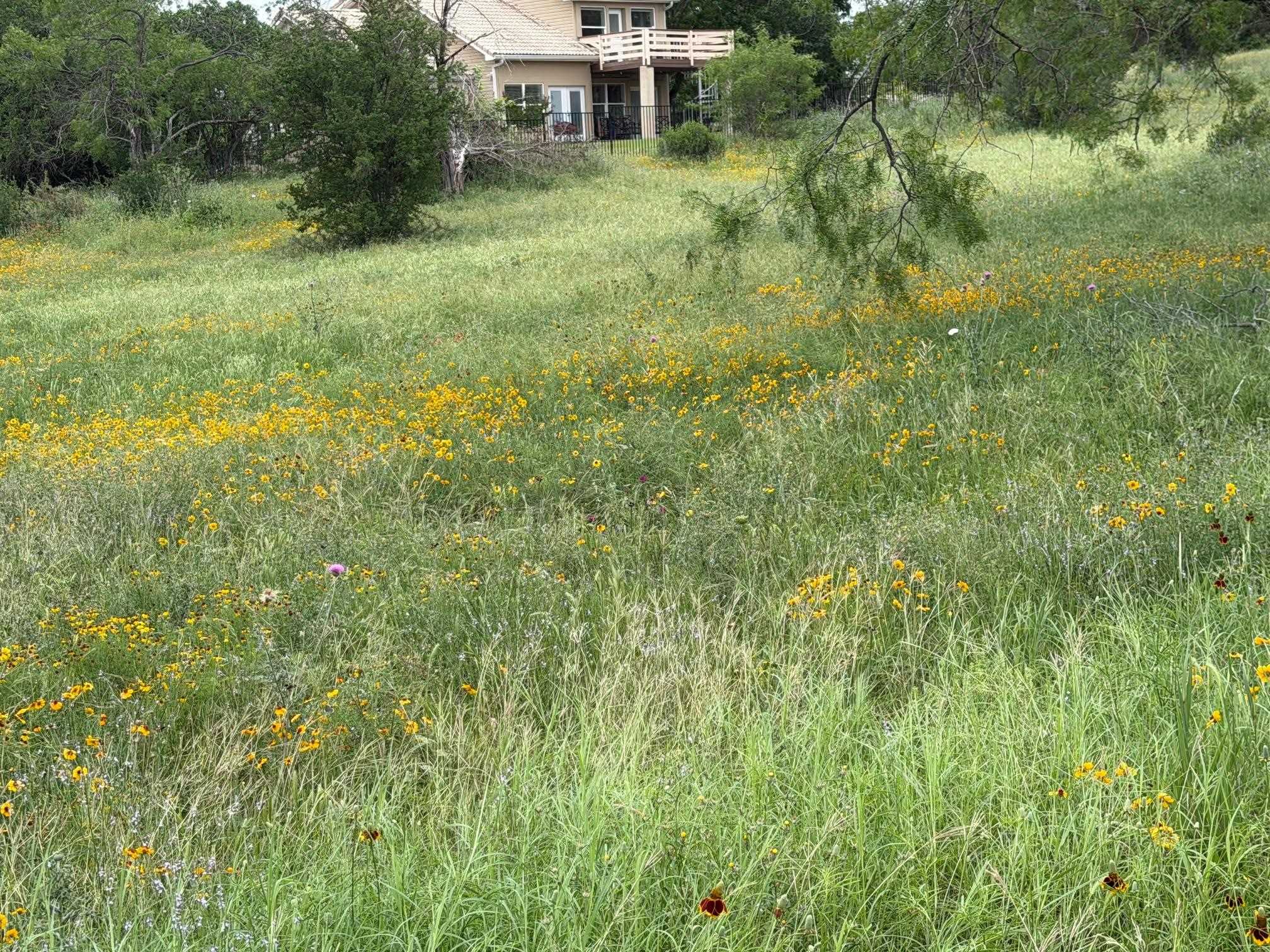 317 Sweetgrass Horseshoe Bay TX 78657