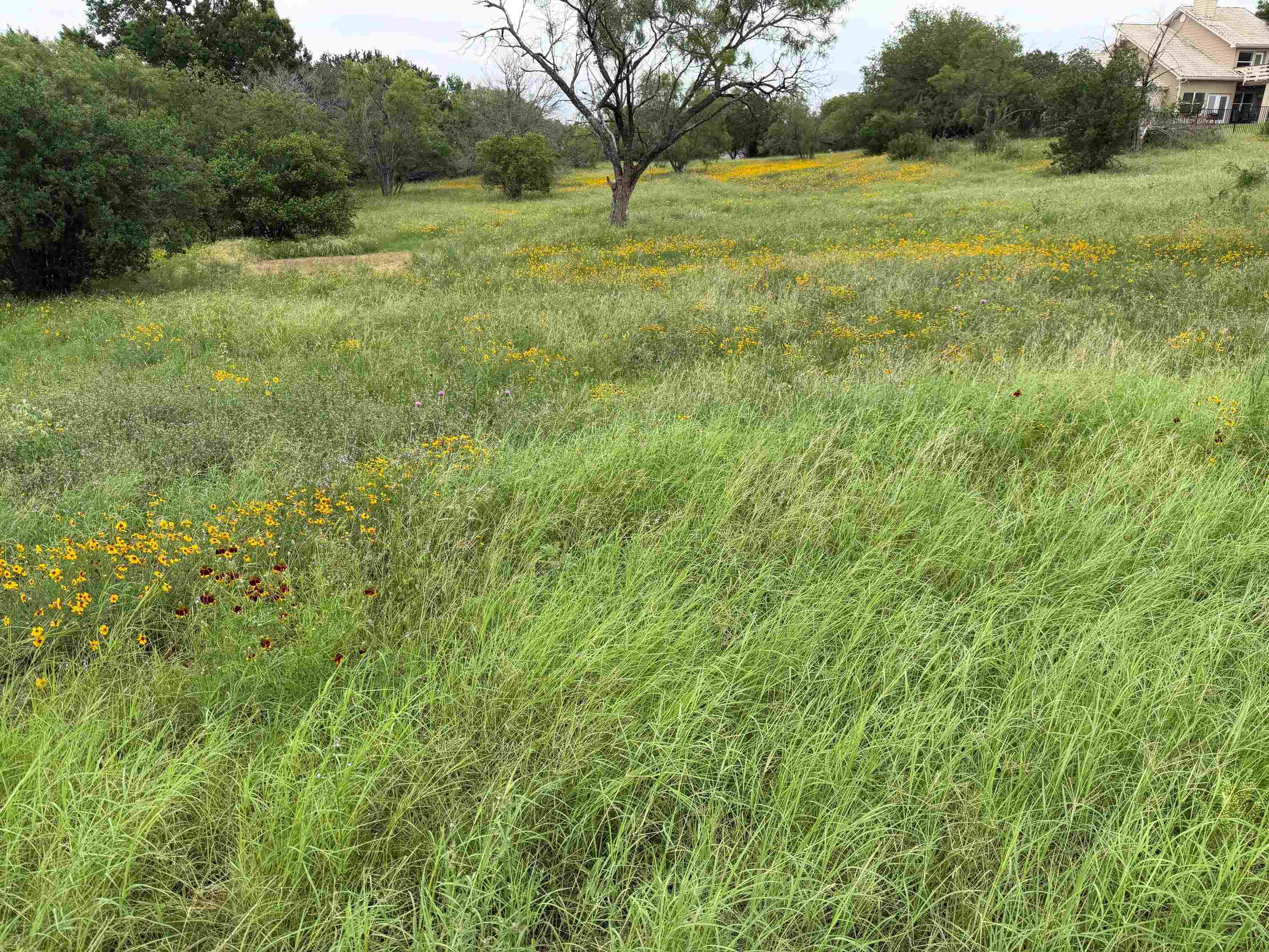 317 Sweetgrass Horseshoe Bay TX 78657