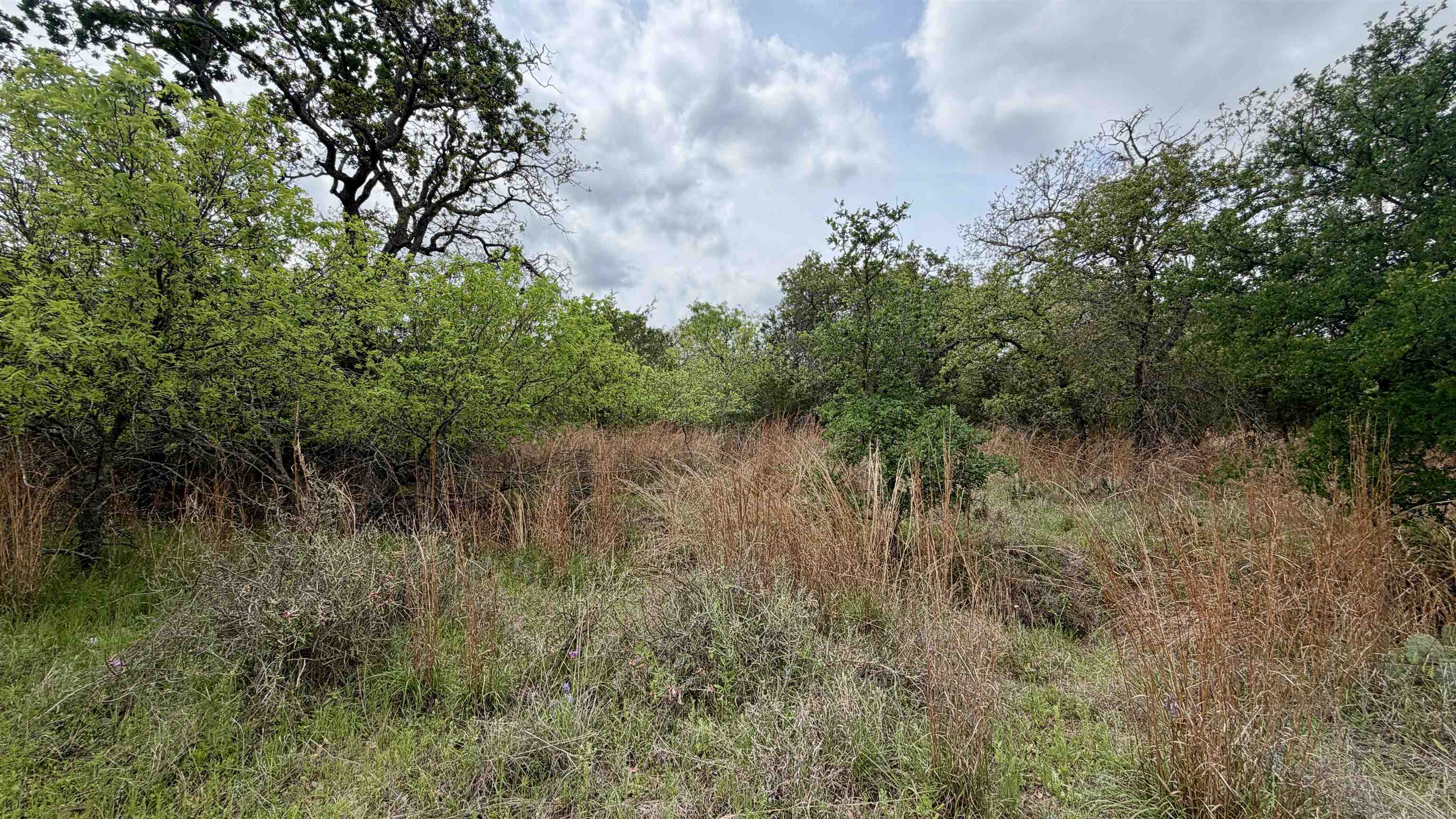 Lot 117 &142 Ridgemont & Brent Kingsland TX 78639