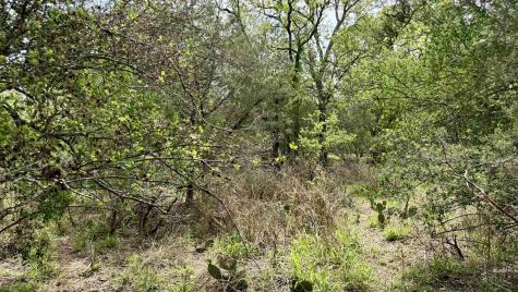 Lot 117 &142 Ridgemont & Brent Kingsland TX 78639