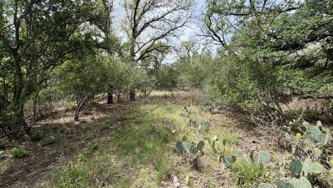 Lot 117 &142 Ridgemont & Brent Kingsland TX 78639