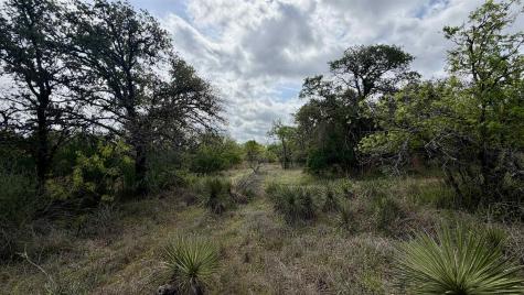 Lot 117 &142 Ridgemont & Brent Kingsland TX 78639