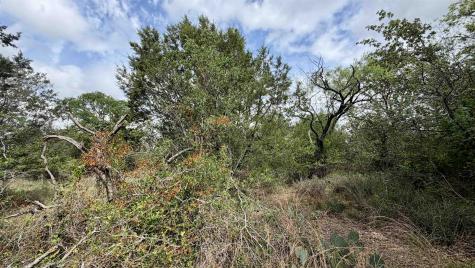 Lot 117 &142 Ridgemont & Brent Kingsland TX 78639