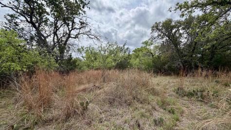 Lot 117 &142 Ridgemont & Brent Kingsland TX 78639