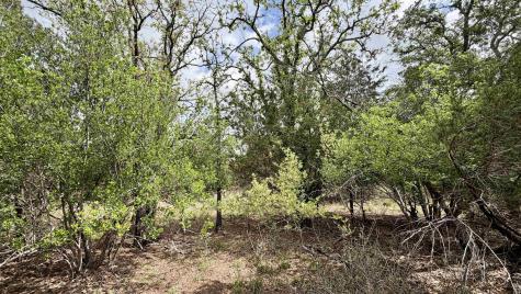 Lot 117 &142 Ridgemont & Brent Kingsland TX 78639