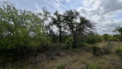 Lot 117 &142 Ridgemont & Brent Kingsland TX 78639