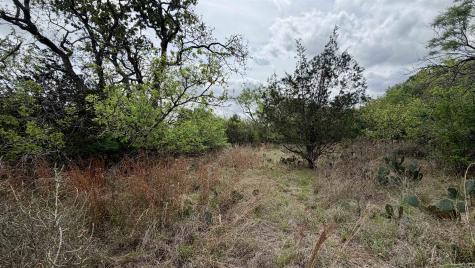 Lot 117 &142 Ridgemont & Brent Kingsland TX 78639