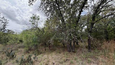 Lot 117 &142 Ridgemont & Brent Kingsland TX 78639