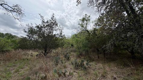 Lot 117 &142 Ridgemont & Brent Kingsland TX 78639