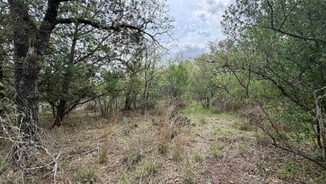 Lot 117 &142 Ridgemont & Brent Kingsland TX 78639