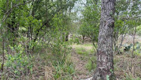 Lot 117 &142 Ridgemont & Brent Kingsland TX 78639