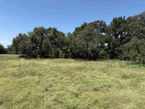 113 N John Bird Street Blanco TX 78606