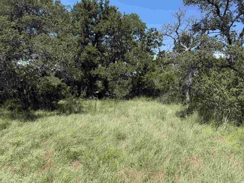 113 N John Bird Street Blanco TX 78606