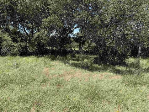 113 N John Bird Street Blanco TX 78606