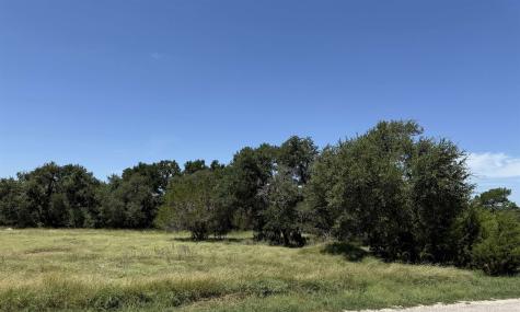 113 N John Bird Street Blanco TX 78606