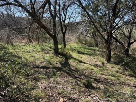 W25016 Apache Tears Horseshoe Bay TX 78657