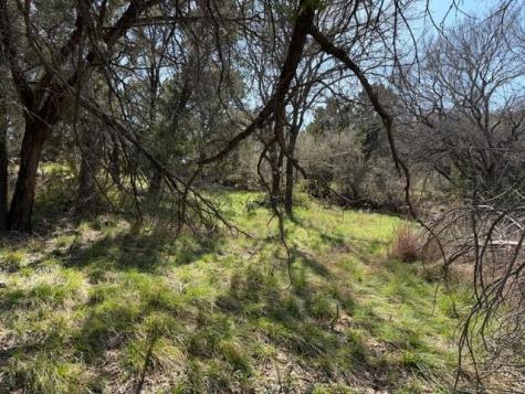 W25016 Apache Tears Horseshoe Bay TX 78657