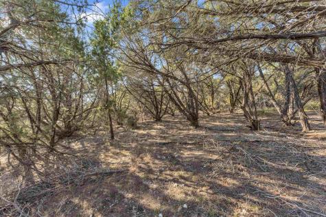 8614 Bar K Ranch Road Lago Vista TX 78645