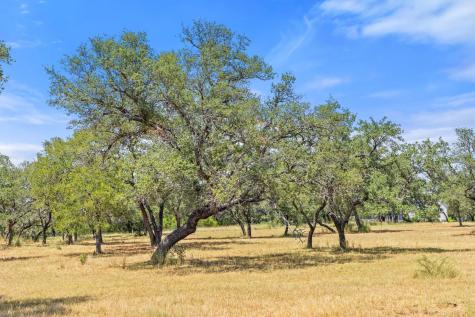 Lot 17 Stonegate Court Johnson City TX 78636