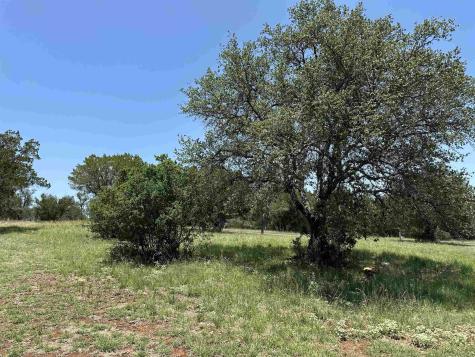 Lt W3048 Fire/fissure Horseshoe Bay TX 78657