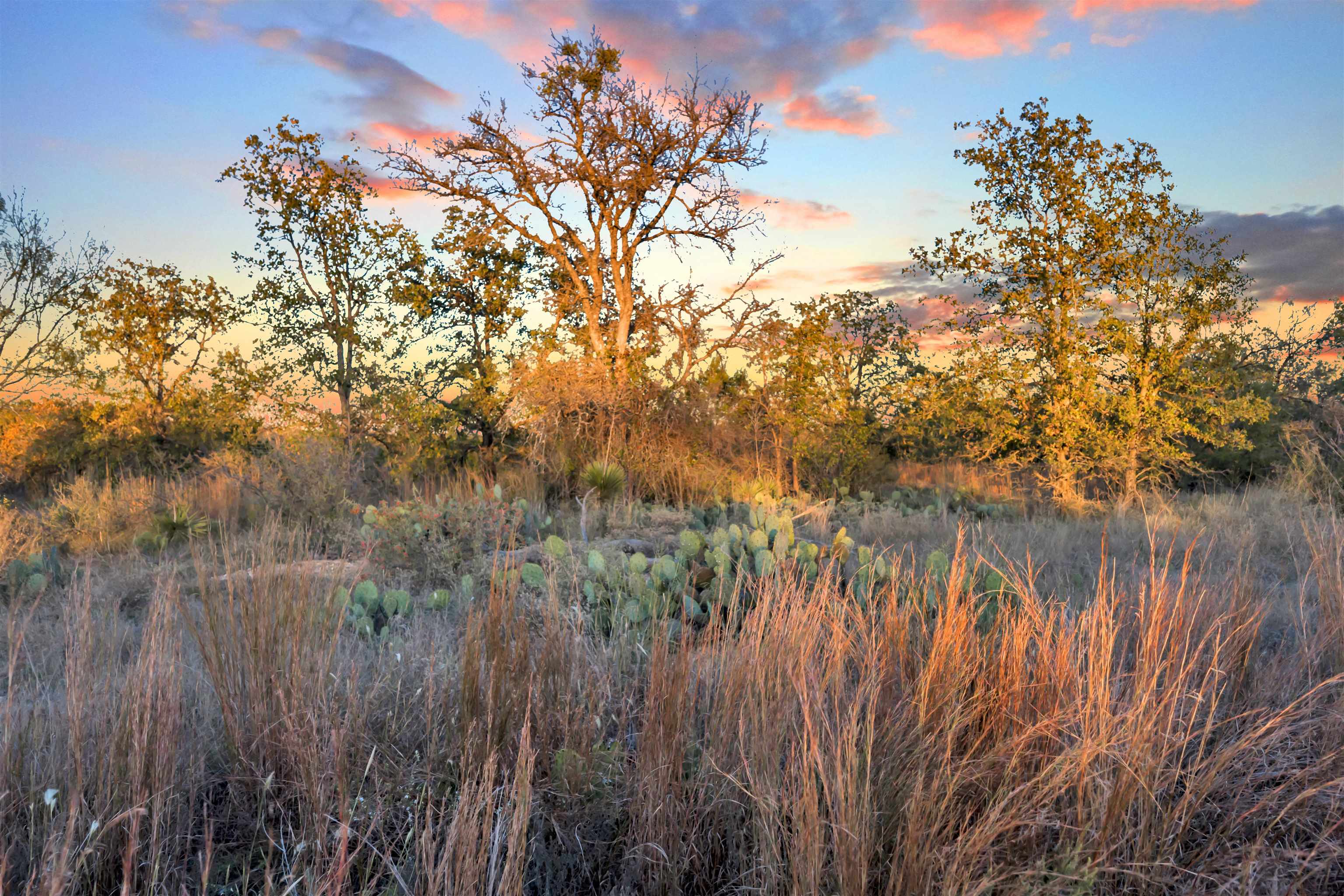 Lt 109 Quail Trail Marble Falls TX 78654