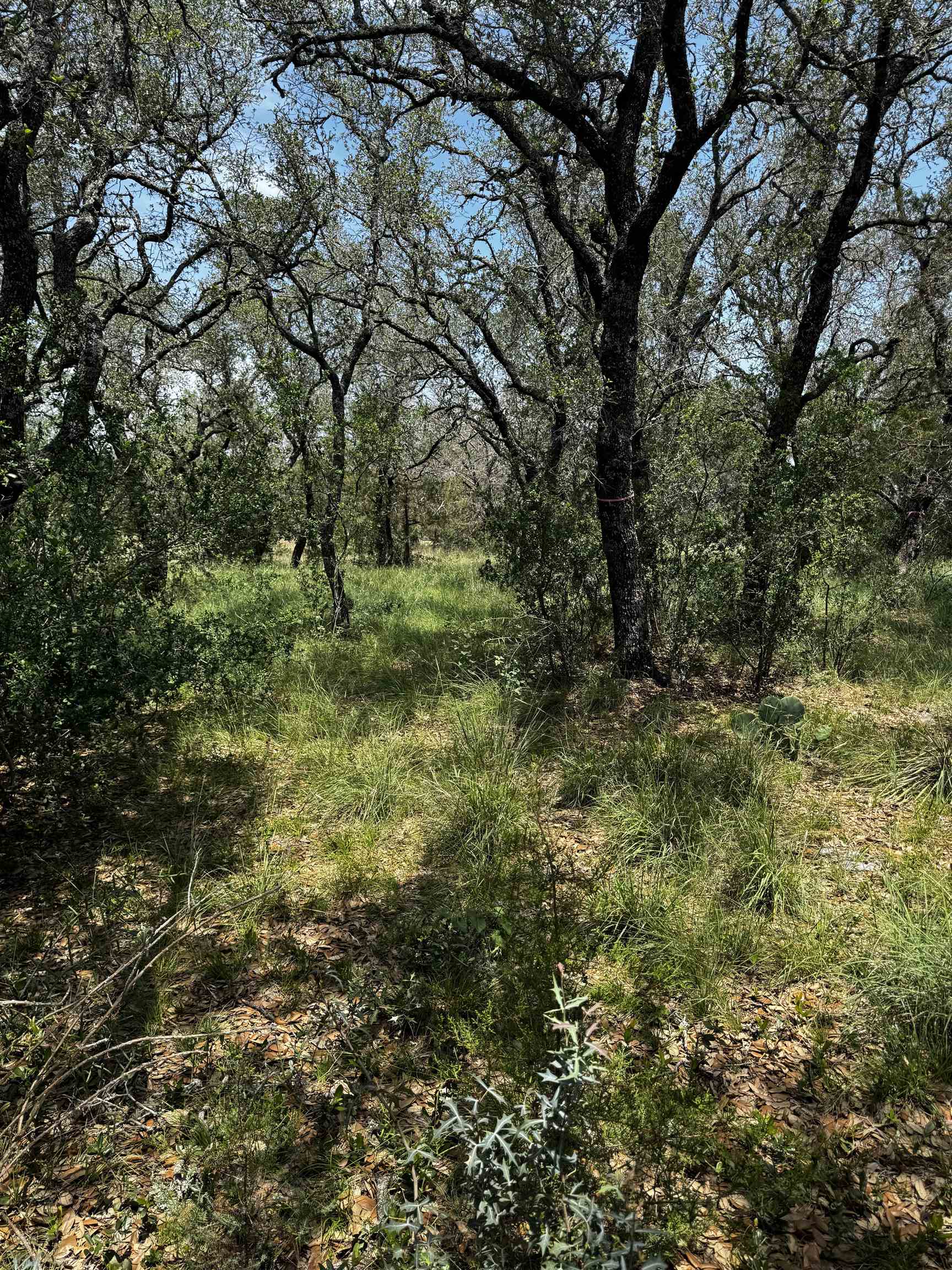 109 Iron Horse Horseshoe Bay TX 78657