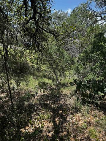109 Iron Horse Horseshoe Bay TX 78657