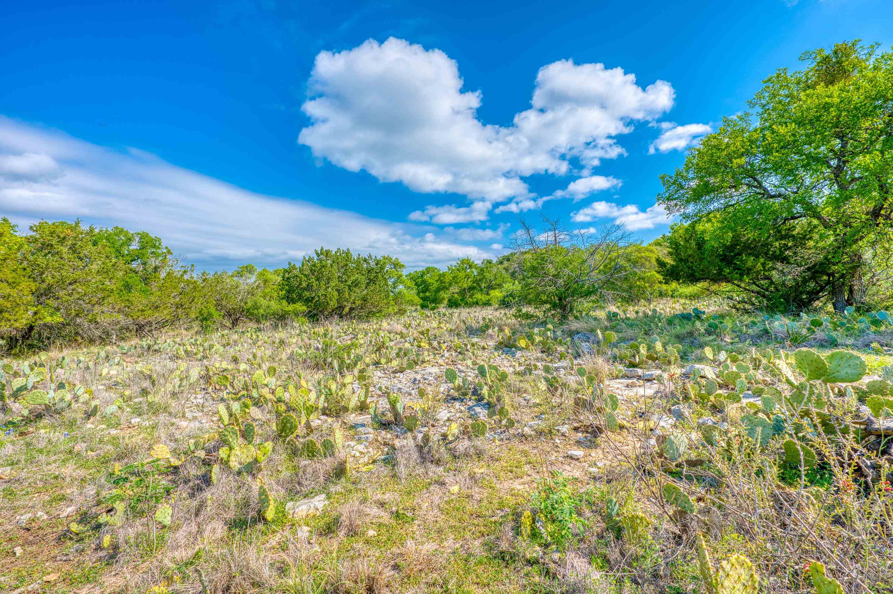 204 Mount Dew Road Horseshoe Bay TX 78657