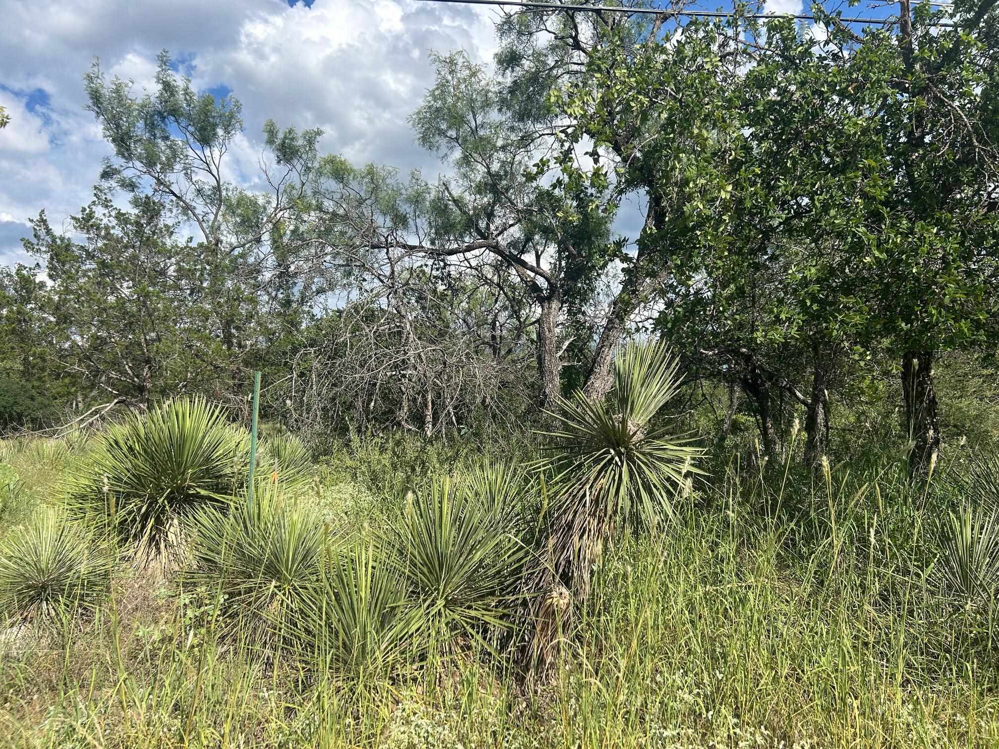 0 Sherwood Downs Granite Shoals TX 78654