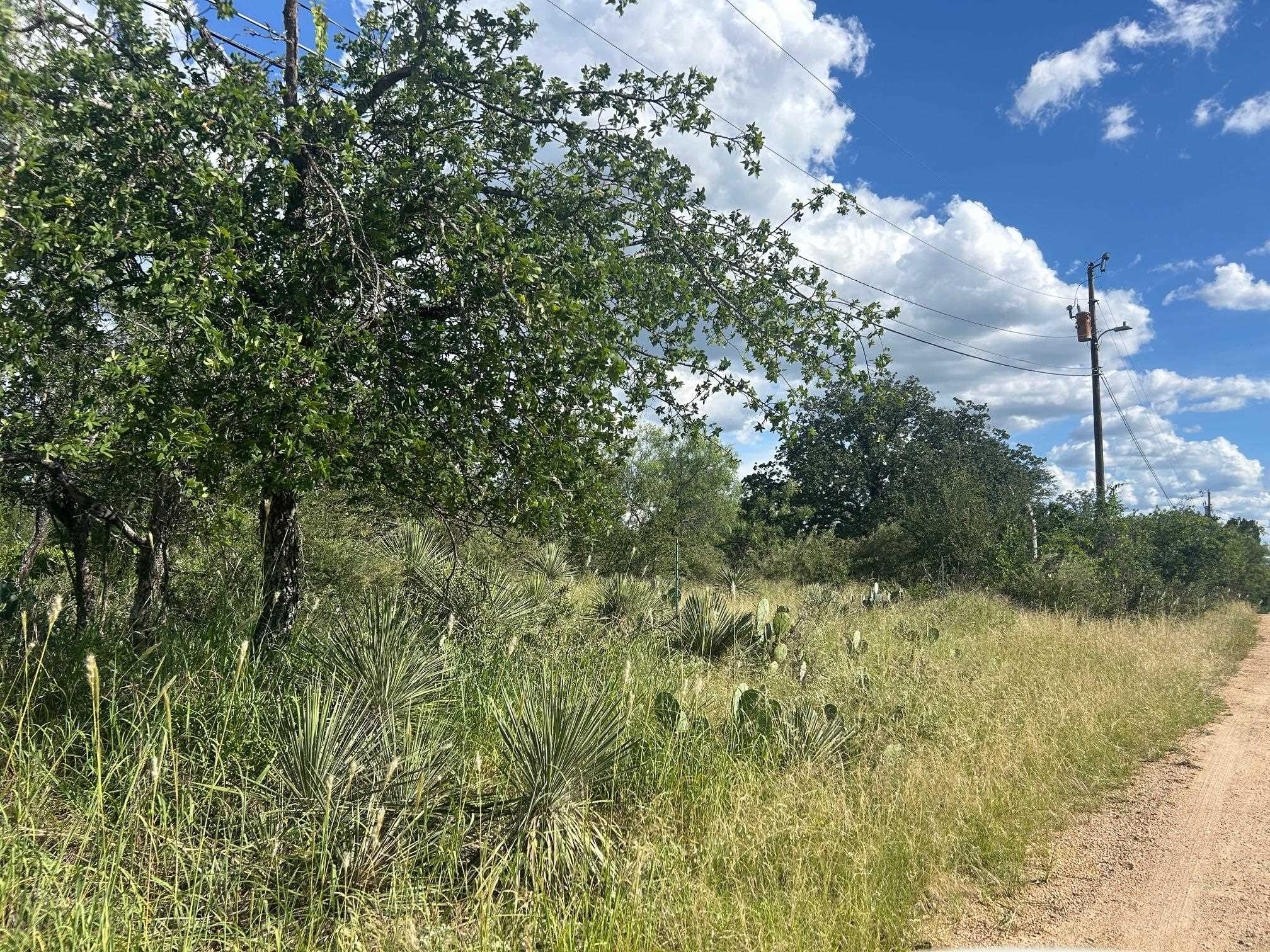 0 Sherwood Downs Granite Shoals TX 78654