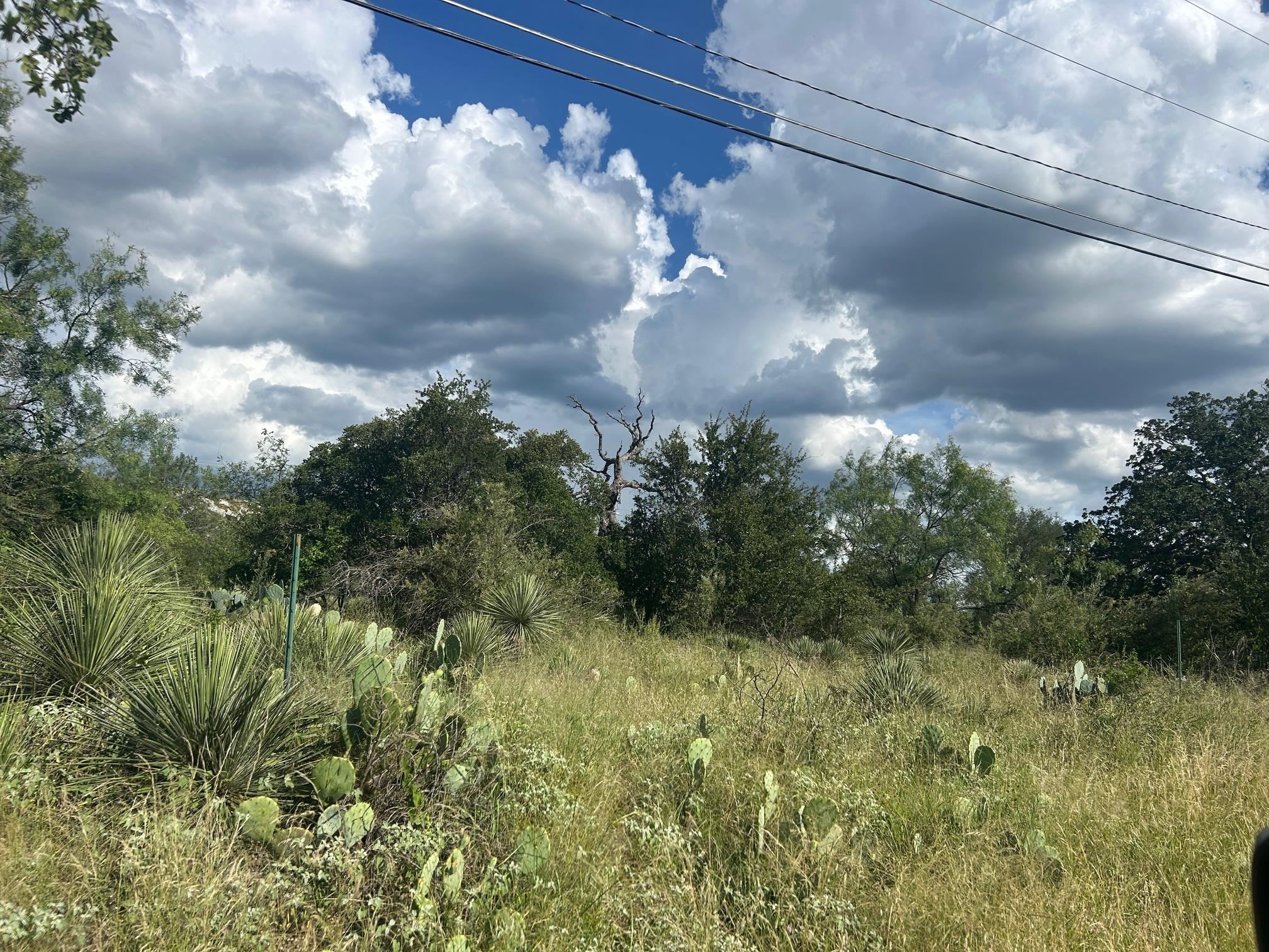 0 Sherwood Downs Granite Shoals TX 78654
