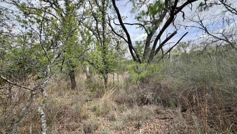 Lot 111 Ridgemont Kingsland TX 78639