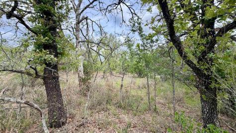 Lot 111 Ridgemont Kingsland TX 78639