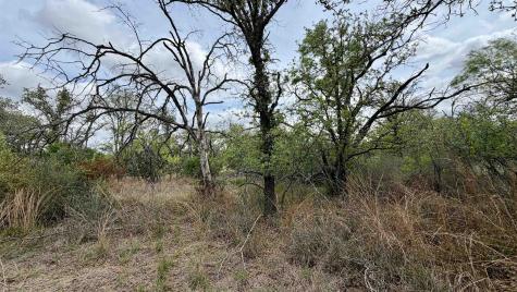 Lot 111 Ridgemont Kingsland TX 78639
