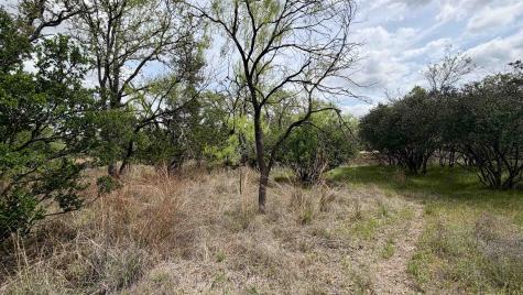 Lot 111 Ridgemont Kingsland TX 78639