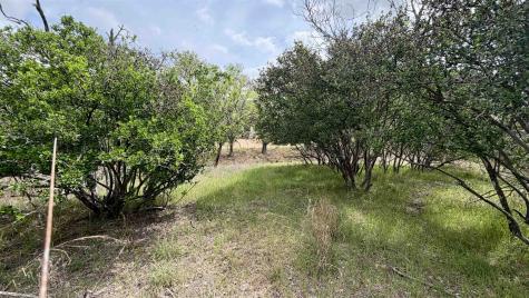 Lot 111 Ridgemont Kingsland TX 78639