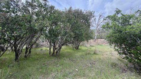 Lot 111 Ridgemont Kingsland TX 78639