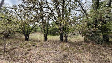 Lot 111 Ridgemont Kingsland TX 78639