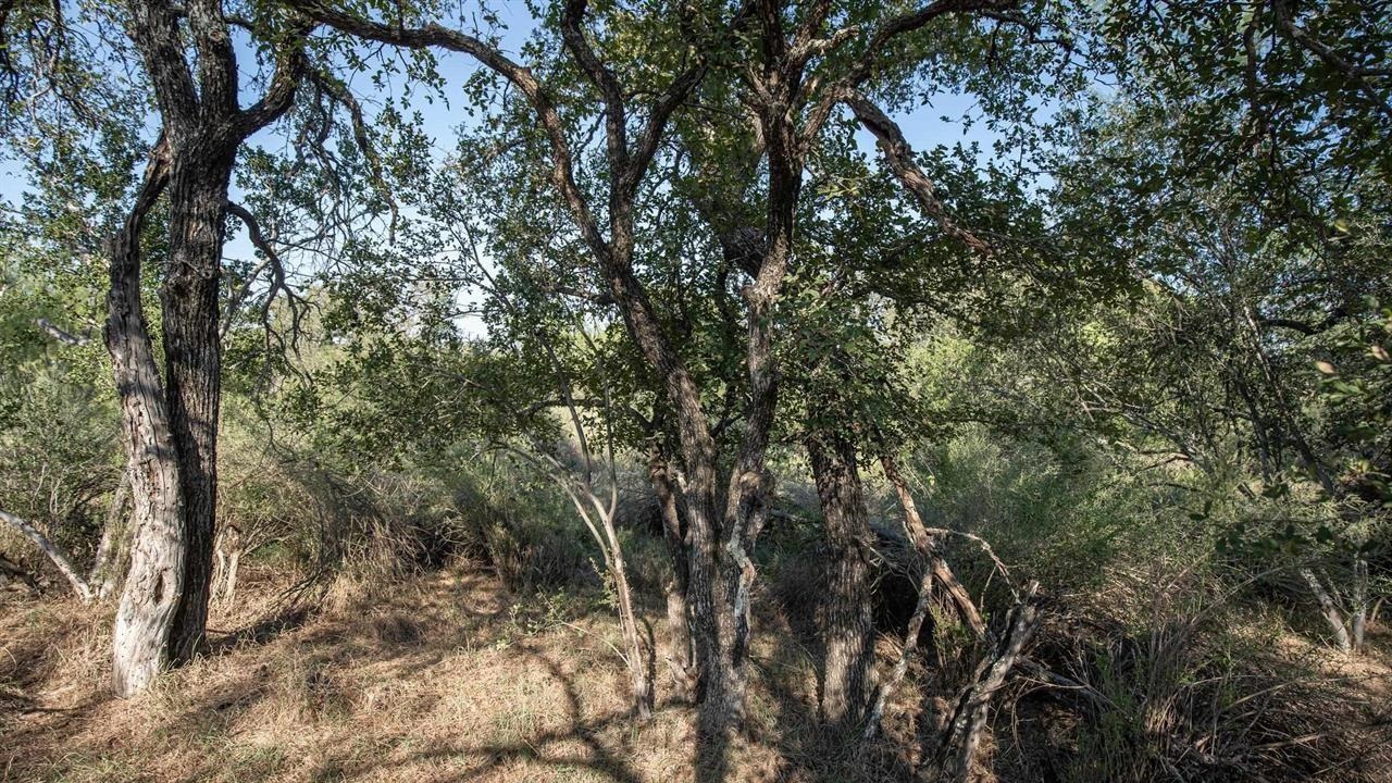 Lot 219 Timber Valley Lane Granite Shoals TX 78654