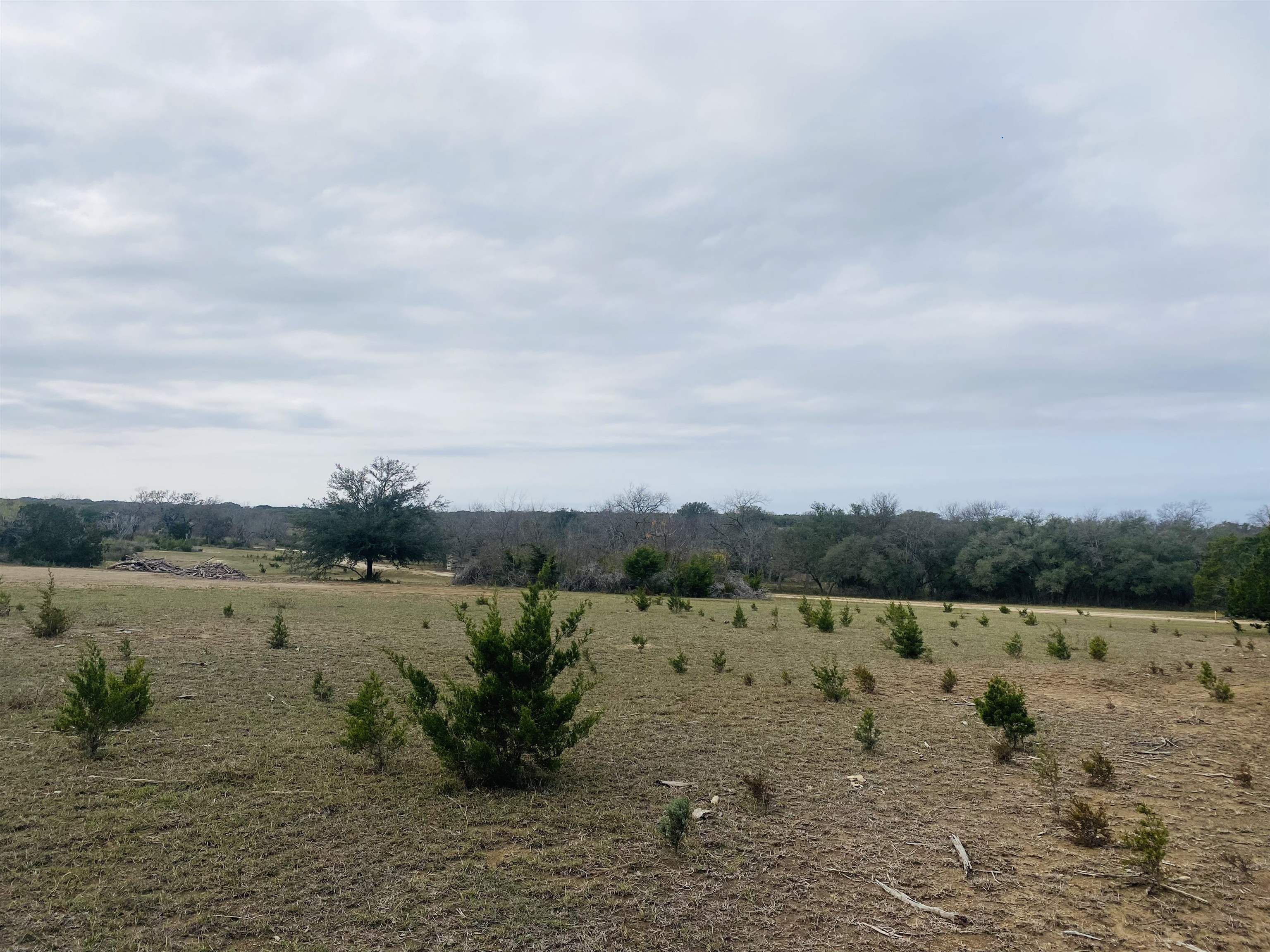 763 Lyda Ranch Road Bertram TX 78605